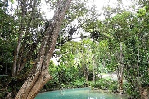 Dagtrip Dunn's Falls en Blue Hole met lunch vanuit Montego Bay & Trelawny