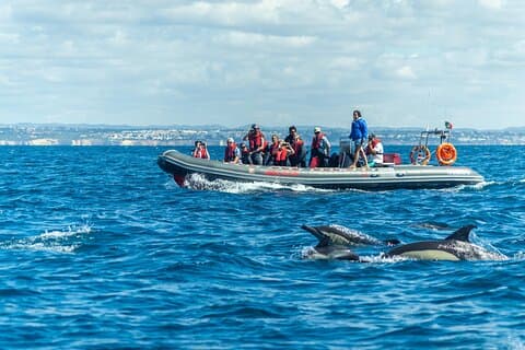 Delfini e grotte su gommone