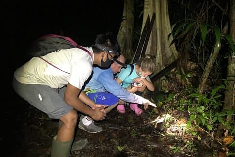 Manuel Antonio Jungle Night Tour con ritiro incluso
