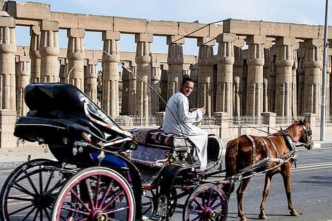 Pferdekutschen-Stadtrundfahrt in Luxor mit Essen und alkoholfreiem Getränk