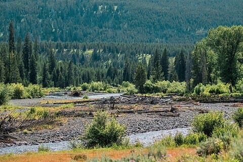 Lamar River Valley Tageswanderung