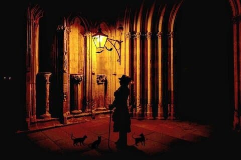 Shadows of York: Ghost Walk and Horrible History.
