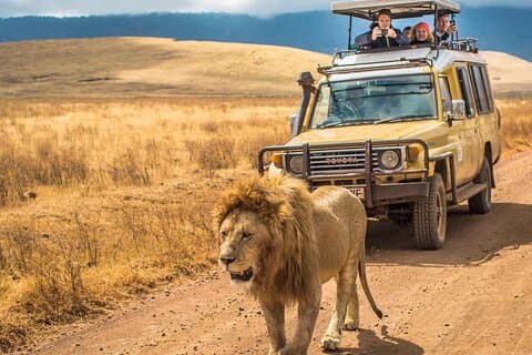 4 dages gruppe, der deltager i Camping Tanzania safari