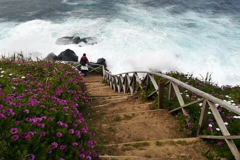 Tour a piedi Ribeira Funda - Praia da Viola
