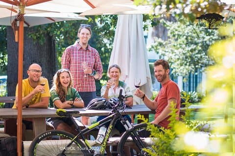Privat sykkeltur i Constantia Winelands