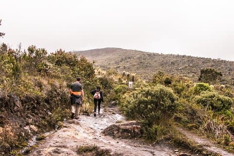 Excursion d'une journée dans le parc national de Chingaza au départ de Bogota : Andean Wilderness