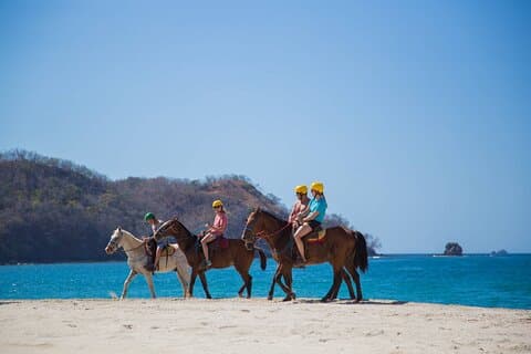 Horseback Riding on the beach