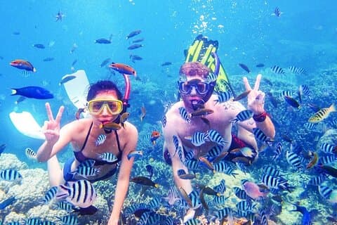 Snorkelexcursie in Ras Mohammed en White Island