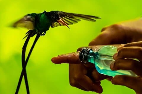 ロックランド鳥類保護区のバードウォッチングの楽園