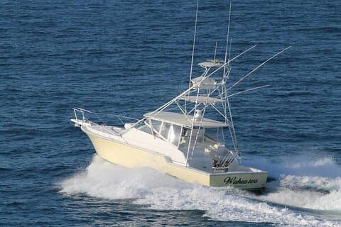 Private Full-Day Deep Sea Fishing Charter on "Wahooters"
