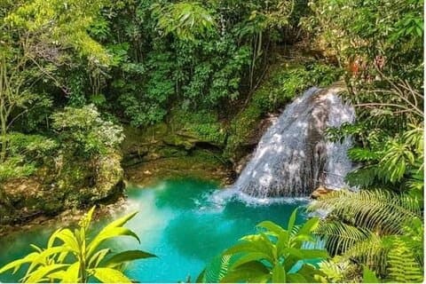 Kombinert Dunn's River Falls Blue Hole og white river rafting