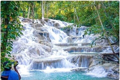 Dunn’s River Falls,Zip lining & horseback riding Combo tour from Montego Bay
