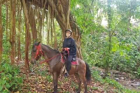 A melhor aventura de cavalgada dominicana