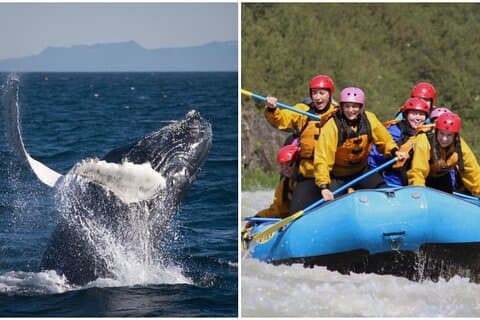 Ballenas de Reikiavik y aventura de rafting en aguas bravas