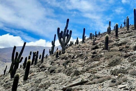 Caminata de un día a las ruinas incas