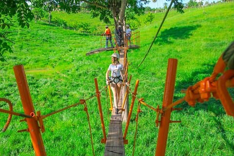 Tirolesa Punta Cana - 8 líneas y un puente colgante de suspenso