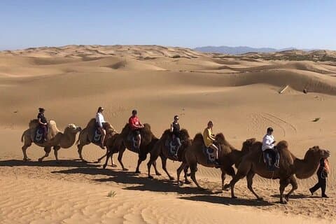 Private Day Tour naar Kubuqi Desert vanuit Hohhot met Pick Up