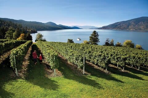 Kelowna South Slopes Wine Tour - 5 vingårde på turen