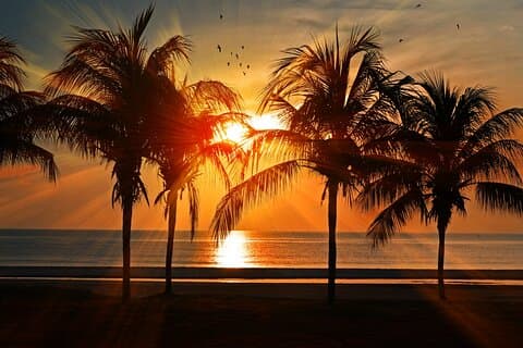Katamaran til Isla Mujeres ved solnedgang afhent Cancun