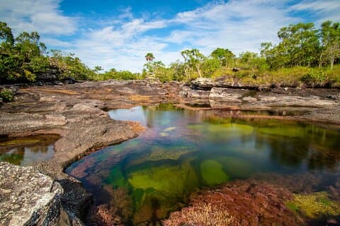 Caño Cristales privat 3-dagers trekkingtur fra Bogota