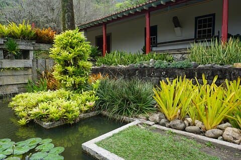 Landskapsupplevelse i Rio: Inspirerad av Roberto Burle Marx
