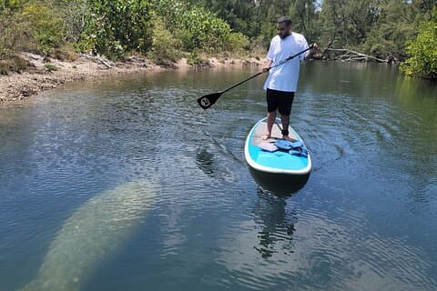 Natur Stand Up Paddle Boarding-oplevelse i Miami