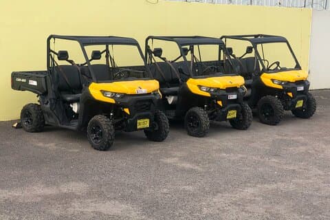 4-timmars Buggy Tour of New Providence (inklusive vatten och lokala öknar)