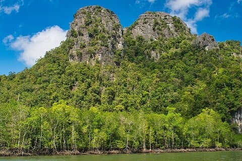 Tranquille croisière d'une demi-journée sur la Mangrove de la forêt de Kilim, Langkawi