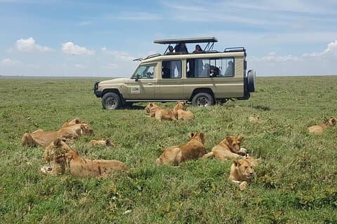 5-daagse safaritocht door Noord-Tanzania vanuit Arusha