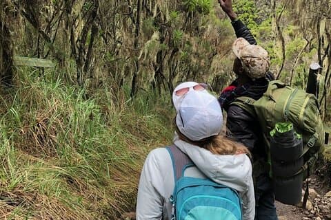 Itinerario Lemosho arrampicata Kilimanjaro 8 giorni