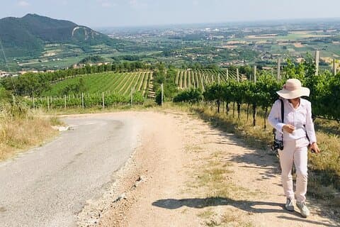 Euganeische Hügel, private Tagestour der Schinken-, Wein- und Olivenölproduktionsfarm