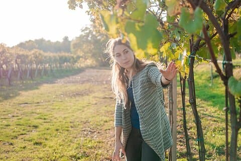 Tour do Vinho Amarone
