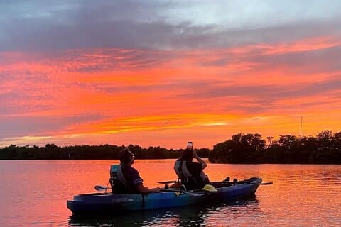 Visite du tunnel des mangroves des Mille-Îles et de la gelée Bio Comb au coucher du soleil