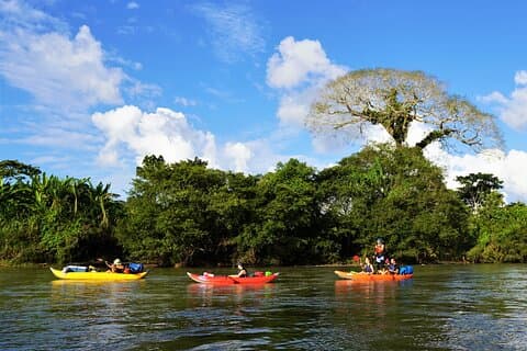 2-dages kajaksejlads i Amazonas