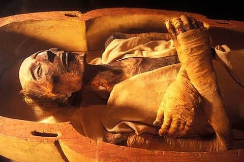New Civilization Museum Tour (Royal Mummies)