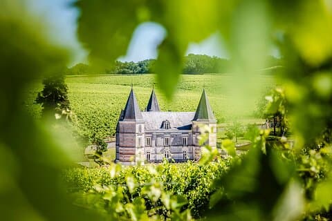 150-minute VIP visit of a vineyard in Segonzac with cocktail break