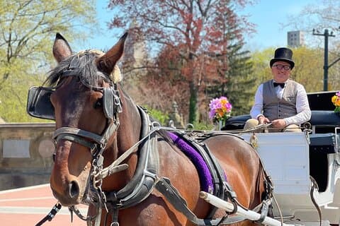 NYC Central Park Horse and Carriage Ride: Long Ride 45 min