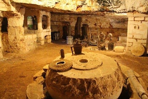 Ostuni : Tasting of Extra Virgin Olive Oil in Masseria