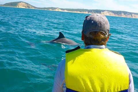 Rainbow Beach : Dolphin & Wildlife Ocean Kayak & Beach 4WD Tour