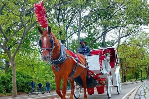 NYC Central Park VIP-tur med hest og vogn
