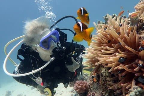 オレンジ ベイ島へのハルガダ シュノーケリング ツアー