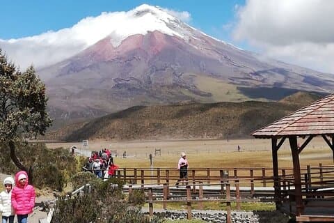Tour privado desde Quito al Volcán Cotopaxi + plantación de rosas