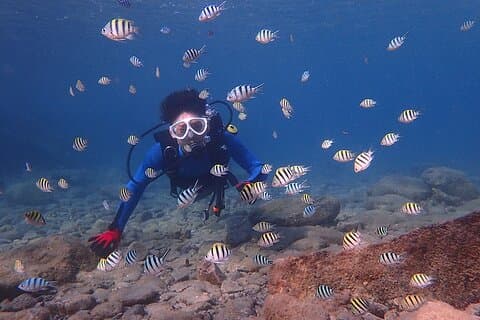 Discover Scuba Diving in Yakushima Standard Course 2 Dives
