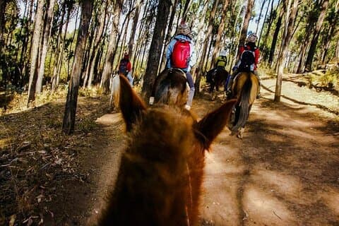 Horse Back Riding Cusco (Mistic Tour)