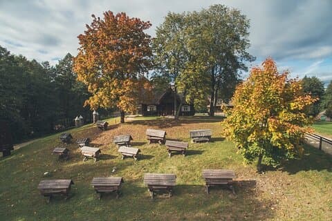 Dagstur til Aukstaitija nasjonalpark