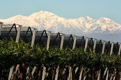Olive oils, Gourmet products and Wines