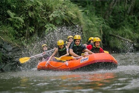 PACCHETTO COMBO: Rafting sul fiume Ayung e tour di Ubud