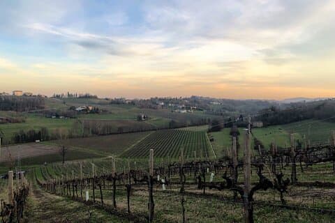 Private Food and Wine Tour on the Prosecco Hills from Venice