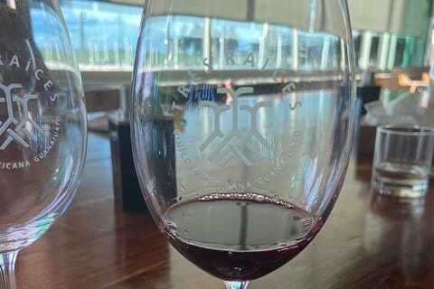 Rota do Vinho!, Vinhas, degustação e harmonização de vinhos