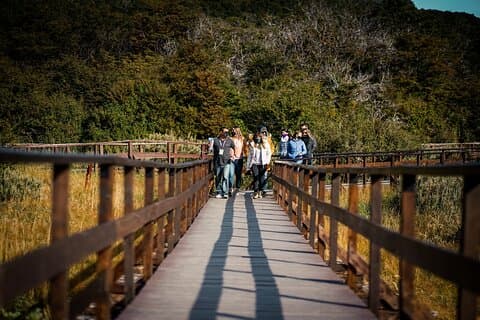 フエゴ島国立公園半日ツアー